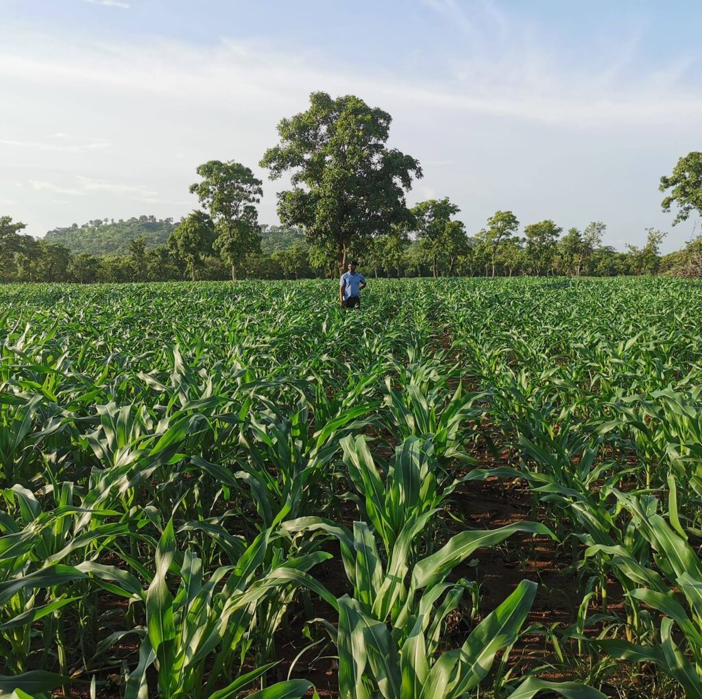 Langdi Farms
