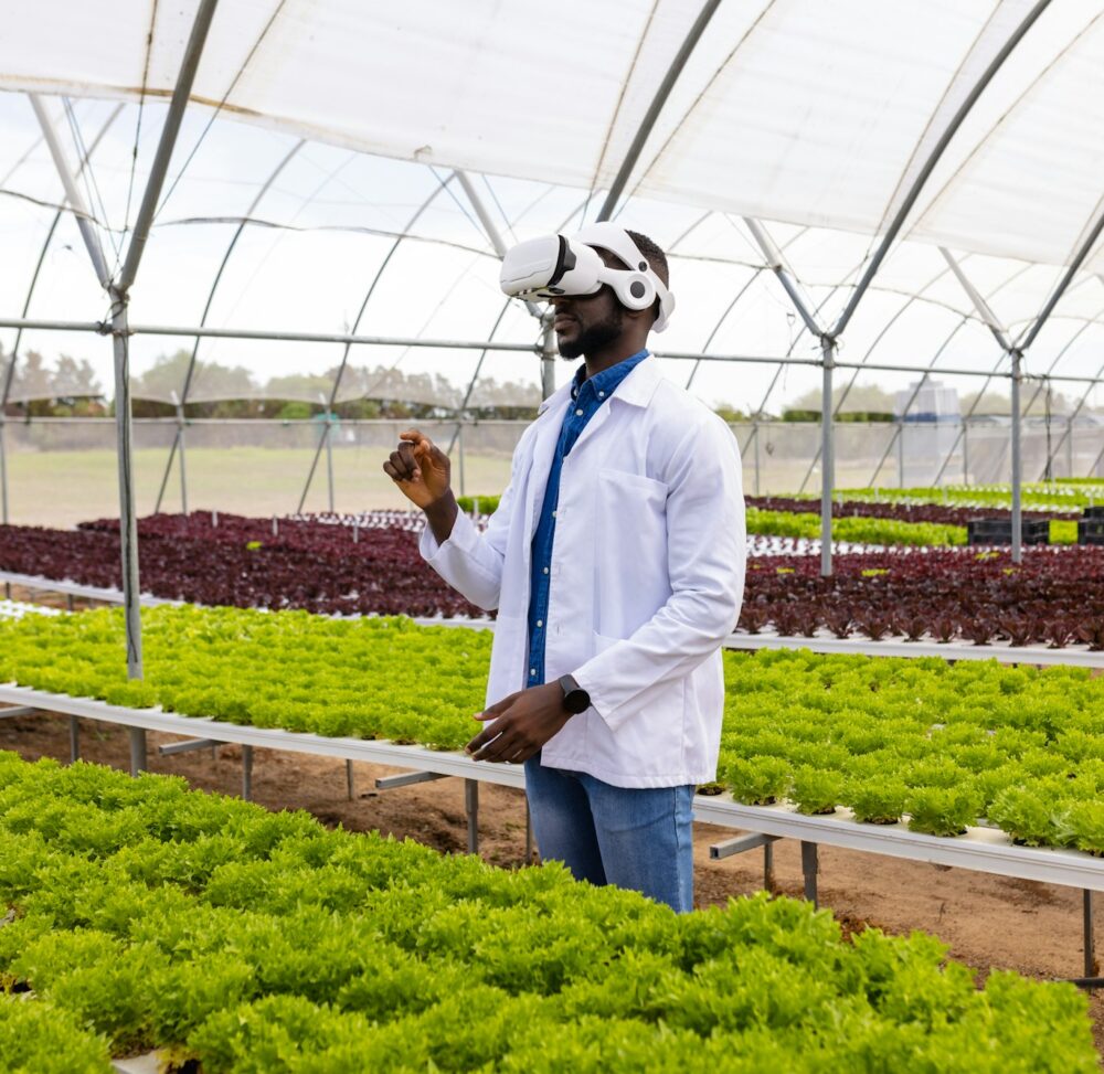 African American young male farm supervisor examining plants in a greenhouse on a hydroponic farm