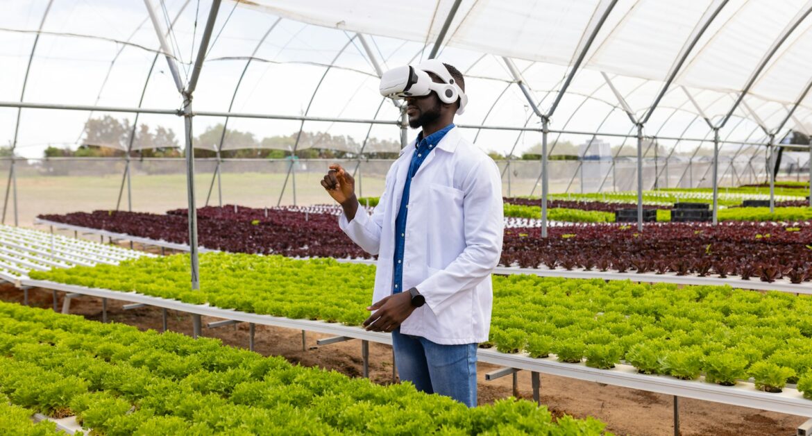 African American young male farm supervisor examining plants in a greenhouse on a hydroponic farm