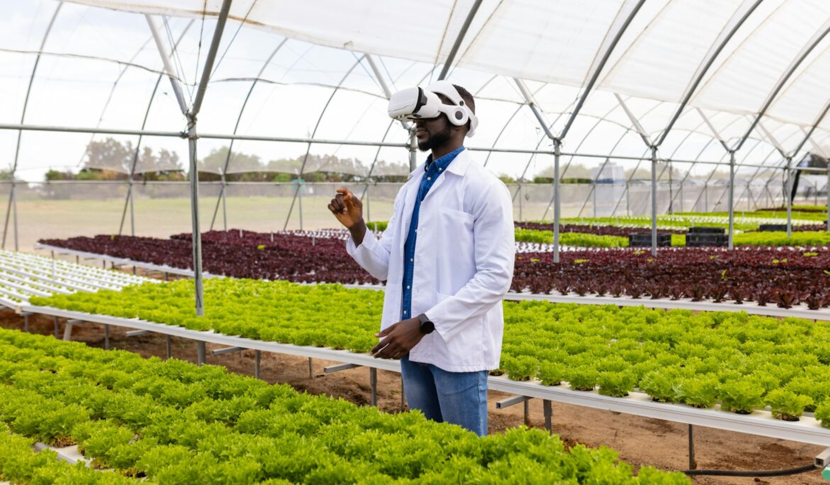 African American young male farm supervisor examining plants in a greenhouse on a hydroponic farm