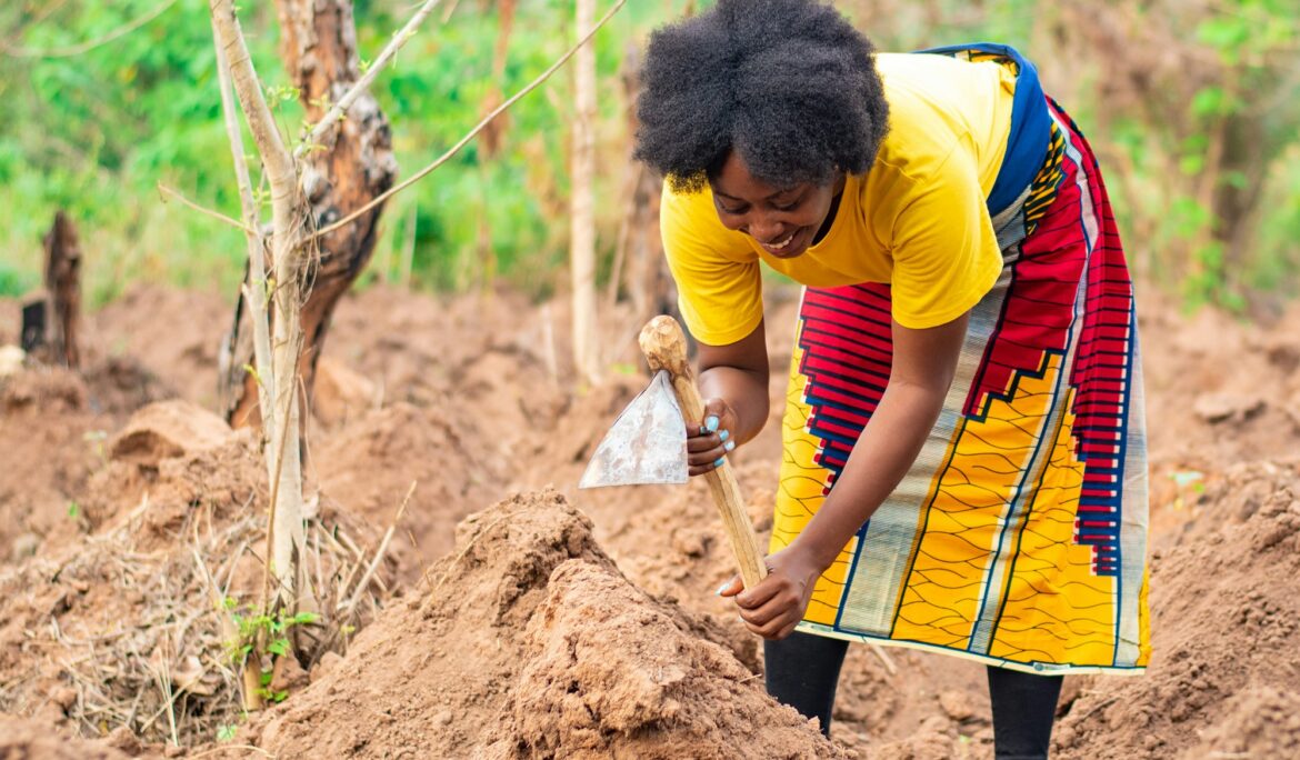 african farmer digging ridges on her farm